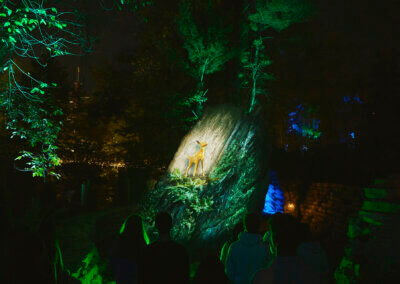 Aquavia Lumina overview of Into the Unknown showing the source beginning.