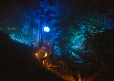 Aquavia Lumina overview of Tidal Waltz showing the moon and lighting in the trees.